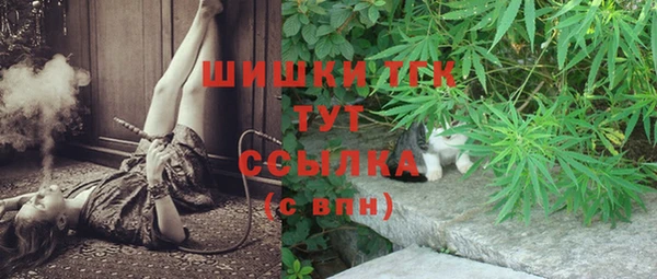МДПВ Володарск